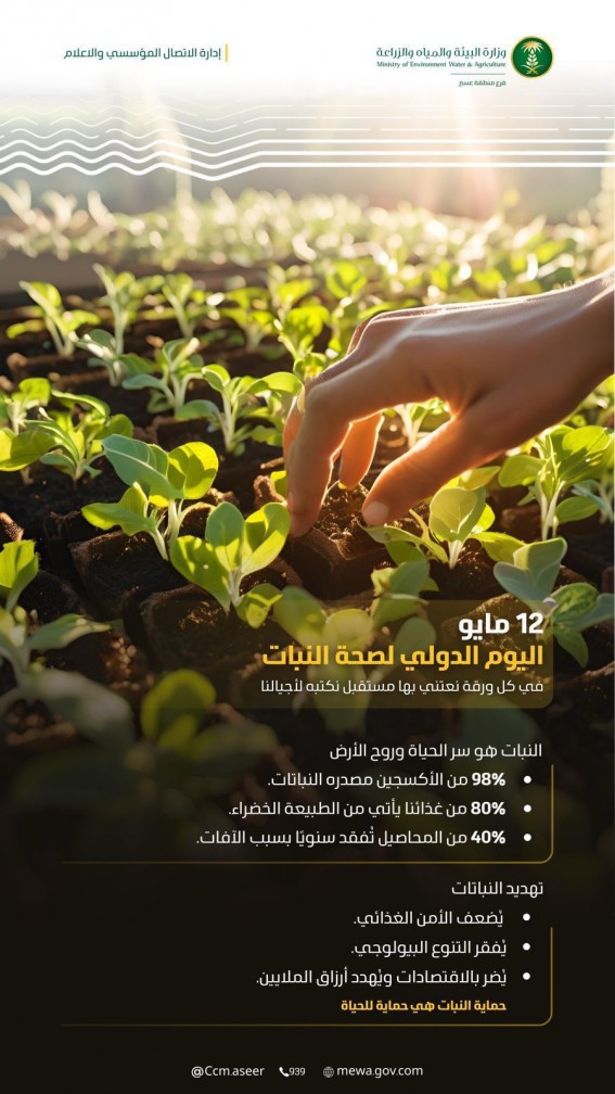 “بصحة النباتات نحفظ الحياة”… وزارة البيئة تحتفي باليوم الدولي لصحة النبات برؤية توعوية شاملة
