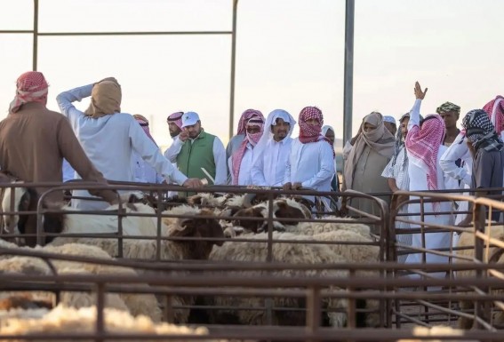 انطلاق برنامج "أضحيتي" في الحدود الشمالية