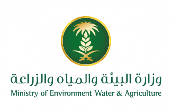 البيئة: نلتزم بحماية الطبيعة والحد من التلوث البلاستيكي
