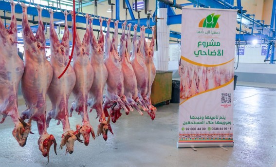 جمعية البر بأبها تُنفذ مشروع الأضاحي بـ 300 أضحية جمعية البر بأبها تُنفذ مشروع الأضاحي بـ 300 أضحية
