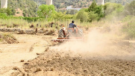 إحياء المدرجات الزراعية في الباحة مبادرة تتجاوز التوقعات وتدعم الأمن الغذائي