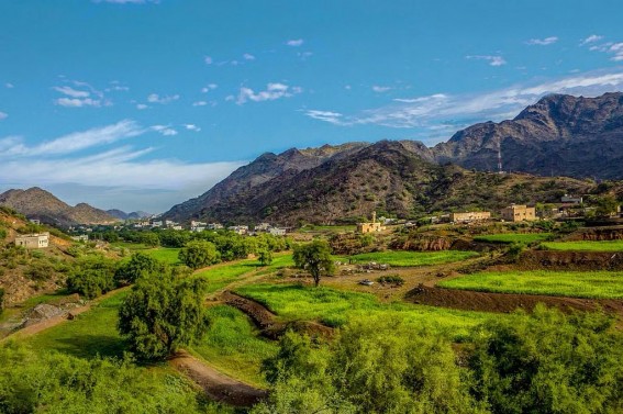 الحصيني: الثلث الأخير من الشهر المقبل الأنسب لزيارة مرتفعات الجنوب الحصيني: الثلث الأخير من الشهر المقبل الأنسب لزيارة مرتفعات الجنوب