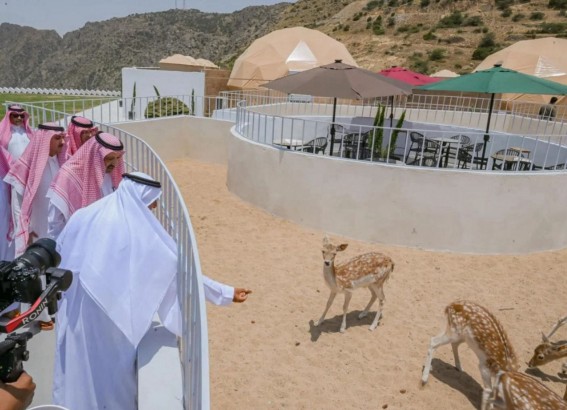 أمير الباحة يتفقد عددًا من المواقع السياحية ويشيد بجاهزية الموسم الصيفي