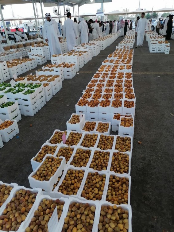 البيئة بمكة تستعرض تطوير سوق التمور مع وفد النخيل والتمور الوطني