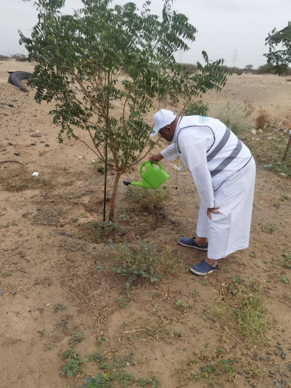 مكاتب “البيئة” في مكة وخليص وأضم تواصل مبادرات سقيا المزروعات لدعم استدامة الغطاء النباتي