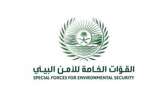 ضبط مقيم أشعل النار في أراضي الغطاء النباتي بعسير ضبط مقيم أشعل النار في أراضي الغطاء النباتي بعسير
