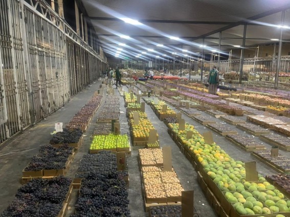 بيئة الطائف” تكثف جولاتها الرقابية على سوق الخضار مع انطلاق موسم فواكه المحافظة
