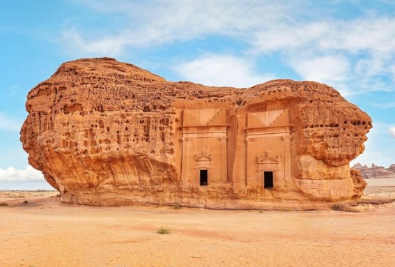 " جذور تتكلم "