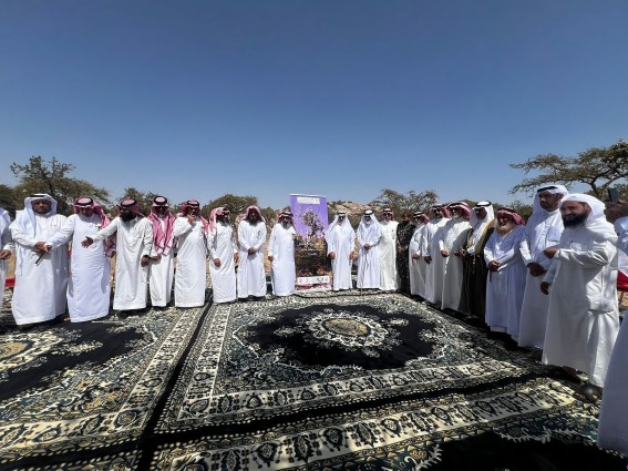 مبادرة لتقليم العرعر وتطبيق الرعي المنظّم في متنزه المسقي بعسير مبادرة لتقليم العرعر وتطبيق الرعي المنظّم في متنزه المسقي بعسير
