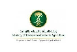 تمويل ذكي وخدمات رقمية تتصدر ورشة زراعية بجازان