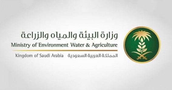 ورشة تعريفية بجازان لتعزيز الاستفادة من الخدمات الإلكترونية
