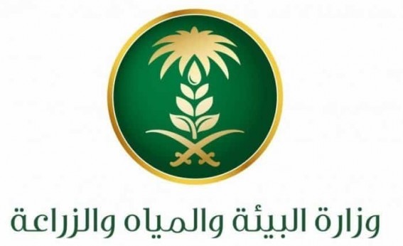 "البيئة" تستحدث مكتبًا لتنسيق ومتابعة شؤون الحج والعمرة "البيئة" تستحدث مكتبًا لتنسيق ومتابعة شؤون الحج والعمرة