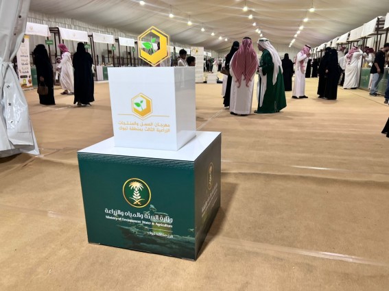 تنوع وإبداع في مهرجان العسل بتبوك.. والموهبة تحاكي الطبيعة بالفن
