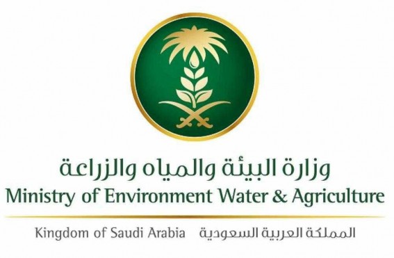 ورشة عمل في أبوعريش لتعزيز زراعة الفل والنباتات العطرية بمنطقة جازان