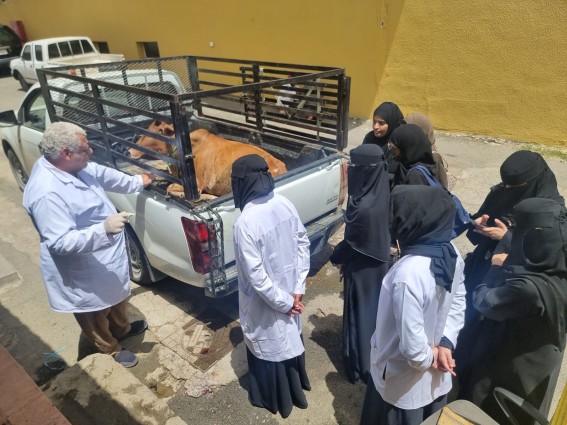 "بيئة الطائف" تنظّم ورشة تدريبية لتأهيل خريجات الطب البيطري لسوق العمل