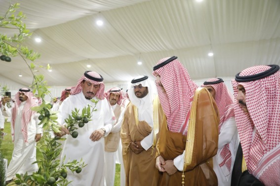محافظ تيماء يدشن مهرجان المنتجات الزراعية الثالث ويشيد بدور فرع وزارة البيئة في دعم المزارعين