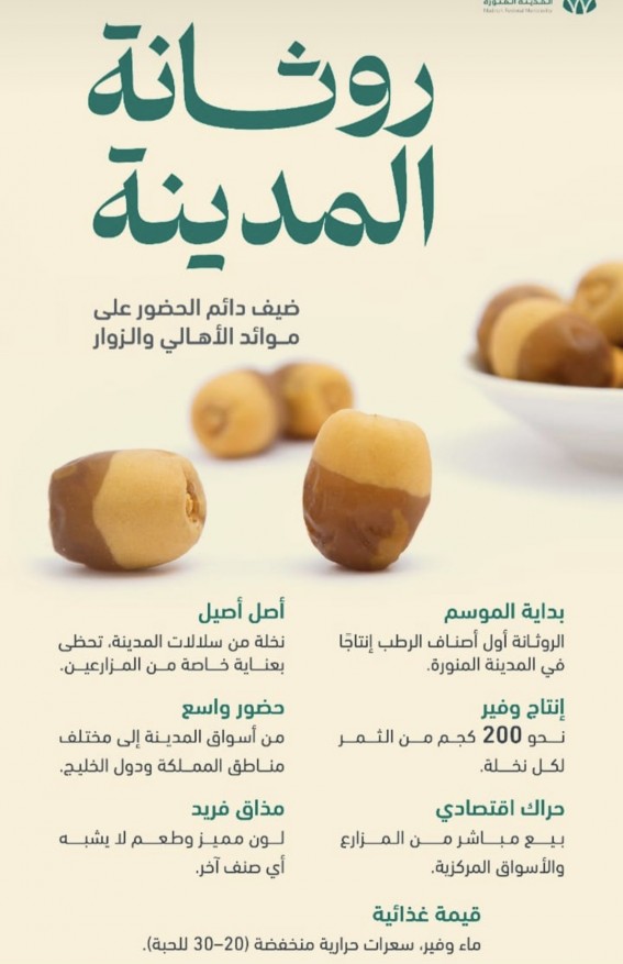 "رُوثانة المدينة" تتصدر موائد الأهالي والزوار مع بداية الموسم "رُوثانة المدينة" تتصدر موائد الأهالي والزوار مع بداية الموسم