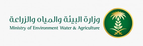 توزيع 20 ألف شتلة بُن على مزارعي الباحة توزيع 20 ألف شتلة بُن على مزارعي الباحة