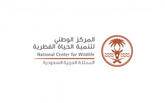انطلاق موسم الصيد في المملكة لعام 2025 – 2026