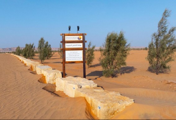 محمية الملك عبدالعزيز تطلق مشاريع بيئية نوعية