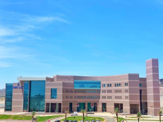 جامعة الباحة تطلق معسكرًا رياديًا لتعزيز الابتكار جامعة الباحة تطلق معسكرًا رياديًا لتعزيز الابتكار