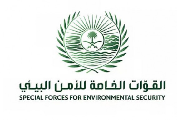القوات الخاصة للأمن البيئي تضبط مخالفًا لنظام البيئة