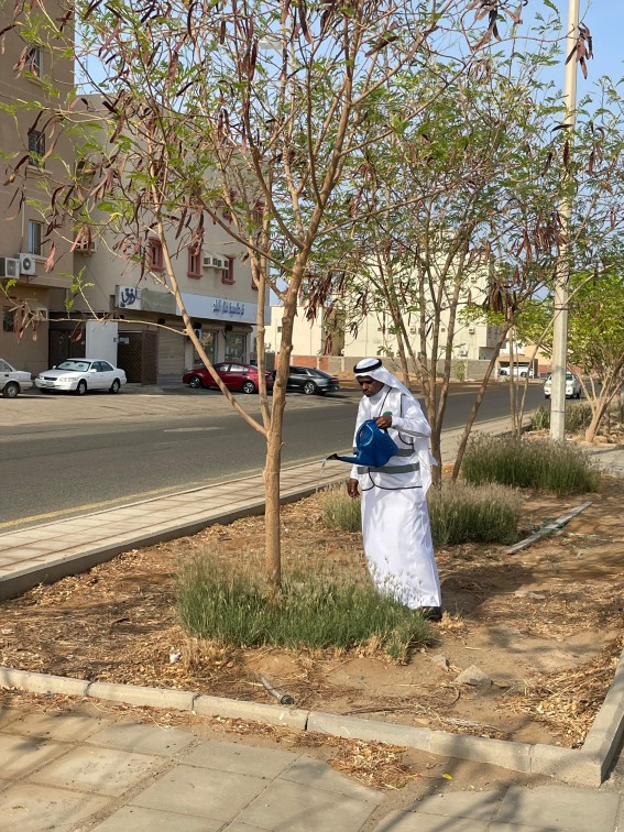 مبادرات بيئية في رابغ لتعزيز الاستدامة وحماية الموارد الطبيعية