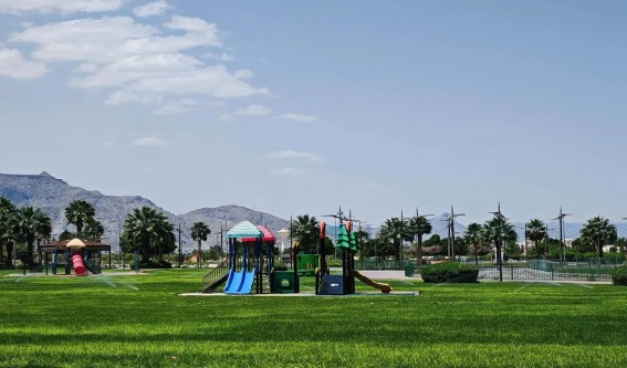 أمانة نجران تُجهز 110 حدائق و95 ألف زهرة للاحتفاء باليوم الوطني الـ95