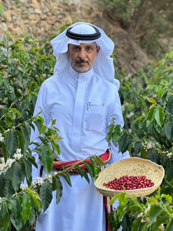 زراعة 100 ألف شجرة بُن في جبال عسير دعمًا لمستقبل زراعي مستدام