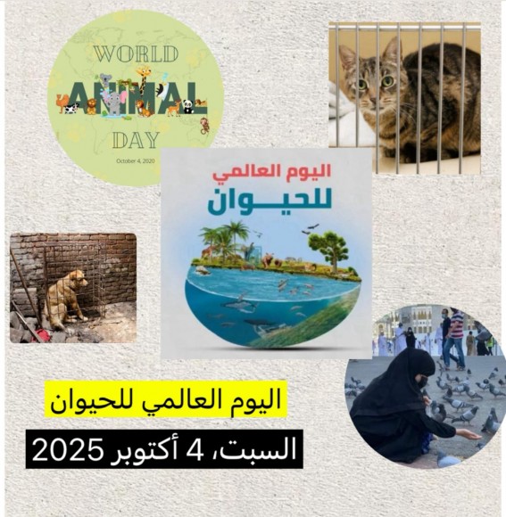 الرفق بالحيوان رسالة إنسانية وإسلامية