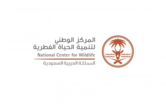 المركز الوطني البيئي يُصدر أول تقييم شامل للنظم البيئية في الساحل الشرقي المركز الوطني البيئي يُصدر أول تقييم شامل للنظم البيئية في الساحل الشرقي