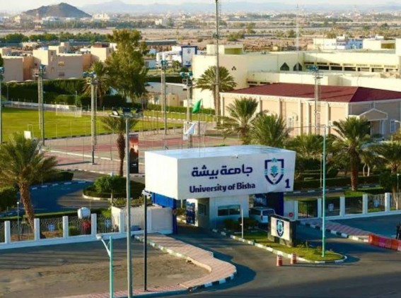 طالبات جامعة بيشة يحققن المركز الثاني في هاكاثون الابتكار البلدي الأول طالبات جامعة بيشة يحققن المركز الثاني في هاكاثون الابتكار البلدي الأول