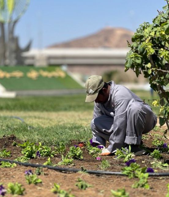 نجران تكتسي خضرةً… أمانة المنطقة تواصل مبادرة “امتداد أخضر” نجران تكتسي خضرةً… أمانة المنطقة تواصل مبادرة “امتداد أخضر”