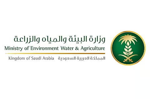 ضبط 403 كيلوغرامات من الأسماك الفاسدة في جازان