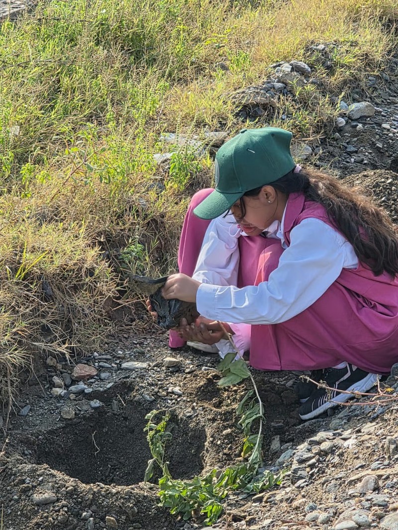 وادي قنا يشهد غرس 700 شتلة سدر ضمن مبادرة "تشجير وادي قنا" لتعزيز الغطاء النباتي