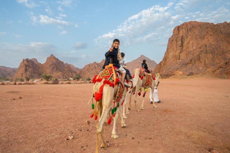 ركايب تعلن فتح باب التسجيل لفعالية المسار التجاري في ديسمبر 2025