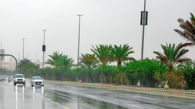 أمانة جدة تكثف جهودها للتعامل مع الحالة المطرية أمانة جدة تكثف جهودها للتعامل مع الحالة المطرية