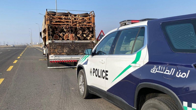 مخالفة بيئية في المدينة المنورة ضبط شخص بحوزته حطب محلي