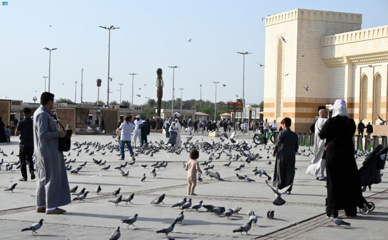 شتاء طيبة يستقبل زوار المدينة