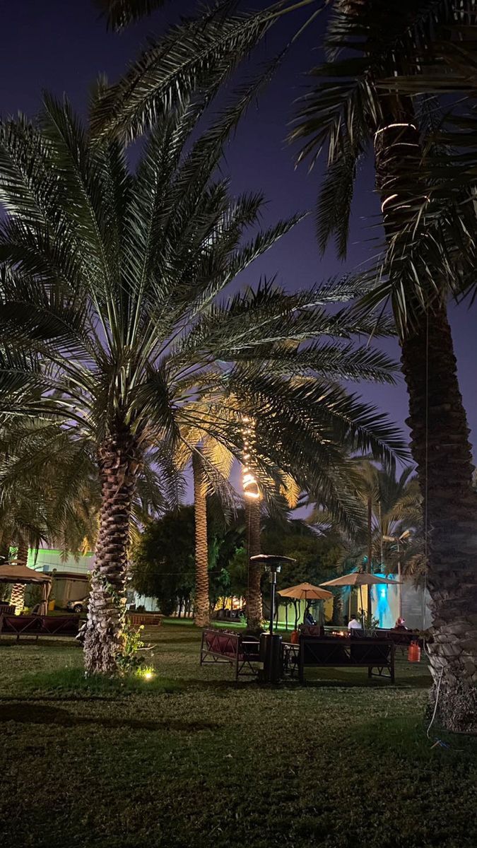 حدائق مكة تشهد إقبالًا واسعًا خلال إجازة منتصف العام