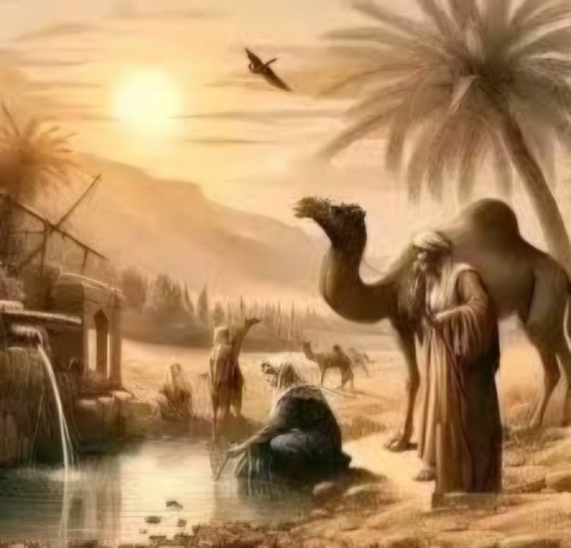 البكاء على الأطلال… حوار صامت بين القلب والغياب