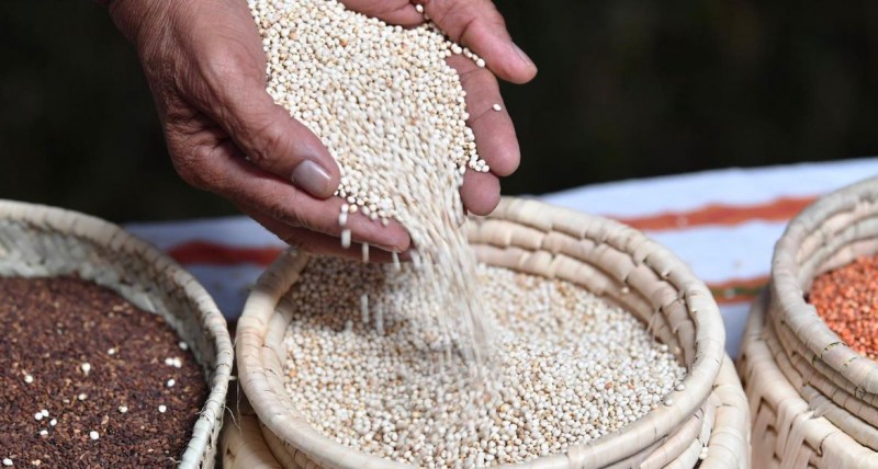 أمير عسير يرعى تدشين مهرجان الدخن الثالث ببارق