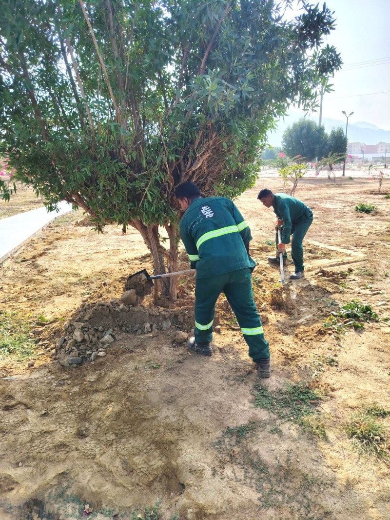 تنسيق الحدائق يضفي حيوية جديدة على المتنفسات العامة ببحر أبو سكينة تنسيق الحدائق يضفي حيوية جديدة على المتنفسات العامة ببحر أبو سكينة