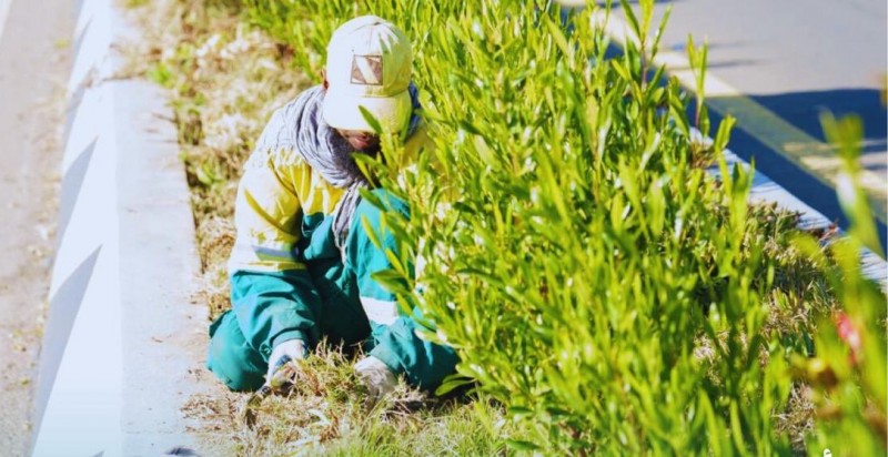 أمانة الباحة تواصل جهود تحسين وتجميل المحاور الرئيسية بالمدينة أمانة الباحة تواصل جهود تحسين وتجميل المحاور الرئيسية بالمدينة