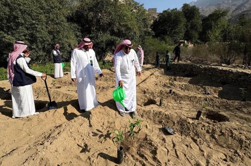 فرع البيئة بمنطقة الباحة يستكمل زراعة شتلات البنّ في ذي عين
