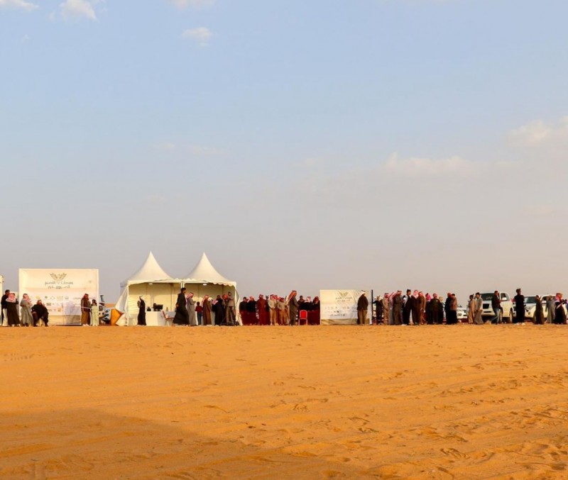 اختتام مهرجان القصيم للصقور بمشاركة 675 صقارًا وزوار تجاوزوا 20 ألف