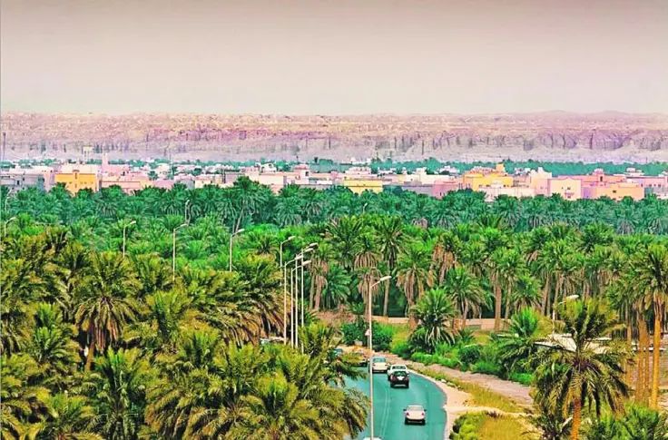 الأحساء في أسبوع.. استثمارات بمليار ريال ومبادرات ترسّخ التنمية المستدامة