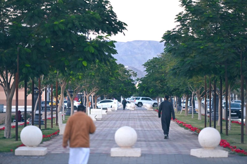 مبادرة مجتمعية تشجع على المشي بنجران