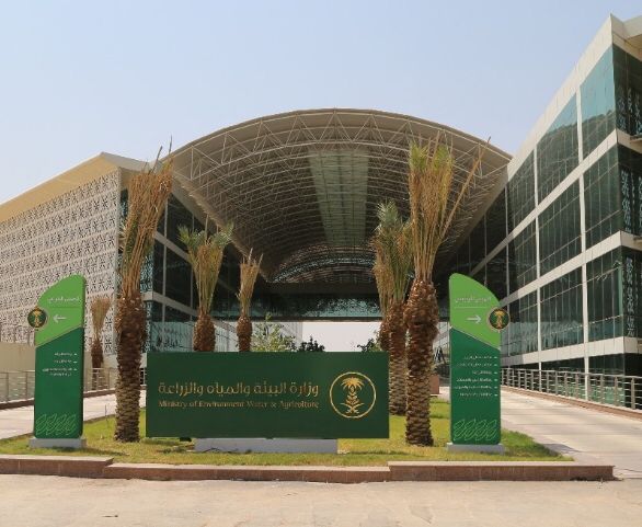 البيئة تعلن إيقاف زراعة الأعلاف المعمرة اعتبارًا من نوفمبر 2026