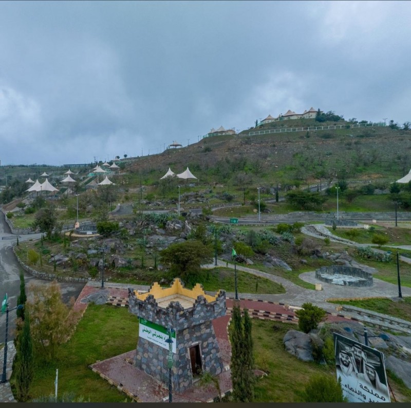 طرح 100 فرصة استثمارية لتنمية الغطاء النباتي